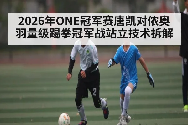 2026年ONE冠军赛唐凯对侬奥羽量级踢拳冠军战站立技术拆解